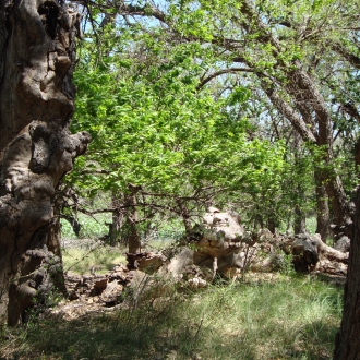 TweedyRanch (15)